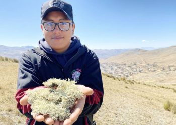 Geolaishu o kiulaisho no solo es un tinte natural y estudio analiza sus propiedades medicinales